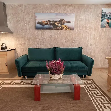 Apartman Przy Mlynie