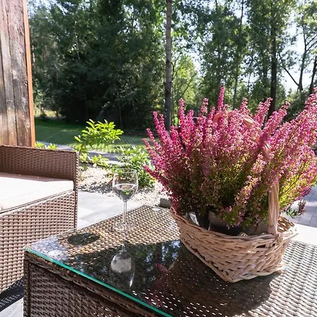 Przy Mlynie Appartement